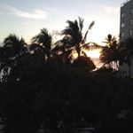 Shane Maurice - Instagram Profile Picture of Shane Maurice (@shanemaurice10) on Instagram