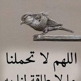 Profile Picture of EnasSaad (@EnasSaad2123) on Twitter