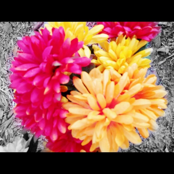 Profile Picture of Tina Varnon (@tinavarnon) on Poshmark