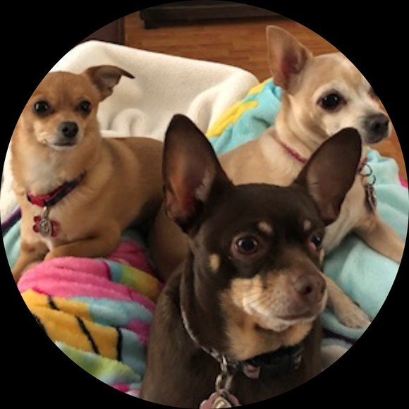 Profile Picture of Lisa Mac (@klomico) on Poshmark