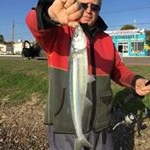 Profile Picture of Daniel Gimenez Pesca (@danielgimenezpesca) on Instagram