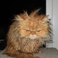 Linda Engle - Quora Profile Picture of Linda Engle (@linda-engle-2) on Quora