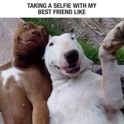 Profile Picture of Casey Colwell (@ColwellCasey) on Twitter