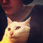 Profile Picture of jun li (@junli0722) on Flickr