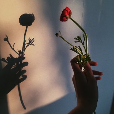 Profile Picture of Moon Eyes (@mooneyestrology) on Twitter