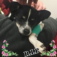 Profile Picture of Shelli Garland (@shelli-garland) on Quora