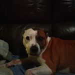 Profile Picture of Gary Staggs (@gary.staggs.773) on Instagram