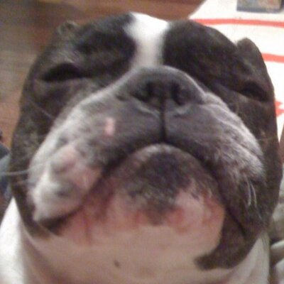 Profile Picture of Wilton Yeh (@wiltonyeh) on Twitter