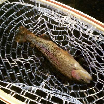Profile Picture of Todd Rupp (@rupp_t) on Twitter