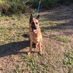 Profile Picture of Michael J Fiume (@michaelfiume) on Instagram