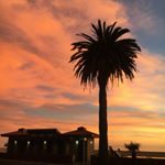 Profile Picture of Brendon Pearson (@brendonpearson) on Instagram