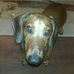 Profile Picture of Jeter Scott (Chesty LaRoux) (@jeter.scott.52) on Facebook