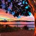 Profile Picture of Patricia Zammit (@patriciaz0611) on Pinterest