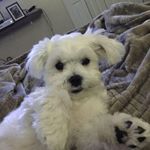 Profile Picture of Jeremy Conner (@jerem.conner) on Instagram