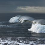 Profile Picture of Lauralee Jones (@goodmorningoceanside) on Instagram