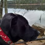 Profile Picture of Scott Hartling (@scott.hartling.3) on Facebook