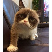 Profile Picture of Tamara Cote-prado (@tamara-cote-prado) on Quora