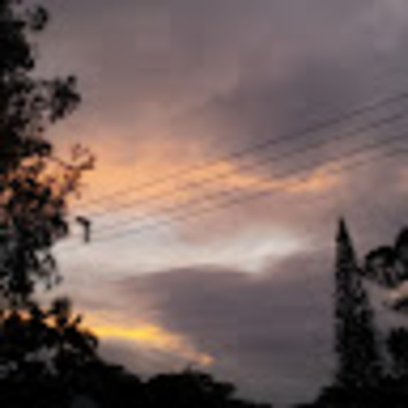 Profile Picture of Tracey Mcquilkin (@tmcquilkin517) on Poshmark