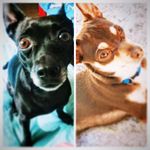 Profile Picture of TERRY & TIMMY (@terry_timmy) on Instagram