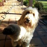 Profile Picture of Nancy Lippman (@damama2017) on Instagram