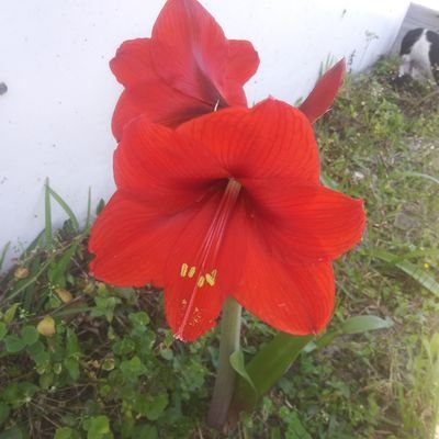 Profile Picture of Audrey Christopher (@audreychristo15) on Twitter