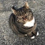 Profile Picture of Beukie Beukenhorst (@beukie_beukenhorst) on Instagram