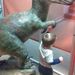 Profile Picture of Tonya Halverson (@rheagle1) on Pinterest