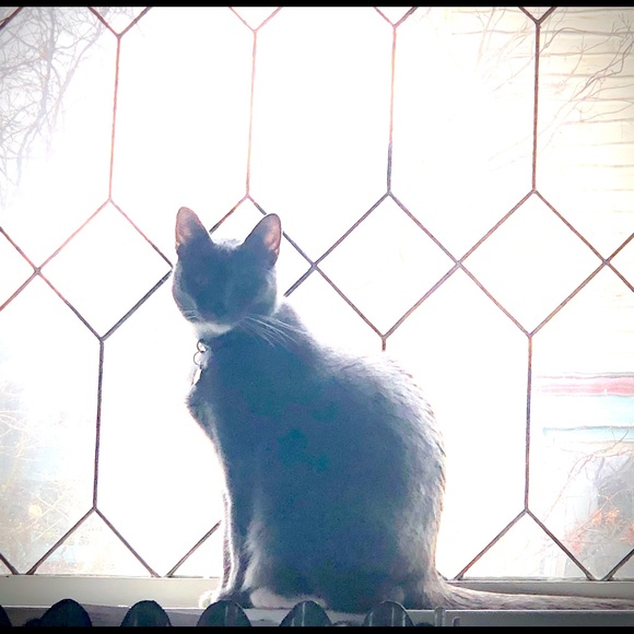 Profile Picture of Joseph Ehrick (@josephehrick) on Poshmark