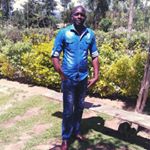 Profile Picture of Newton (@newton_talia) on Instagram