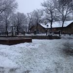 Profile Picture of Randy Rosen (@4bar_r_ranch) on Instagram