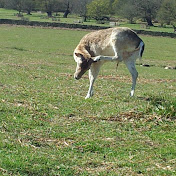 Profile Picture of David Neale (@davidneale2509) on Youtube