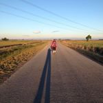 Profile Picture of Sue Robinson (@murphyrobinson) on Instagram