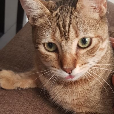 Profile Picture of René Martínez (@Martz0091) on Twitter