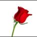 Profile Picture of Carol Stubblefield (@carol.stubblefield.963) on Facebook