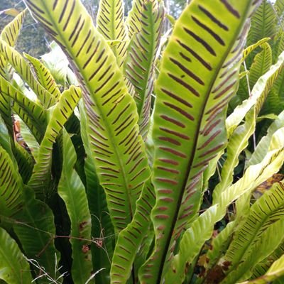 Profile Picture of James Lilley (@JamesLilley2) on Twitter