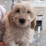 Profile Picture of R A L P H (@ralphjordanlegge) on Instagram