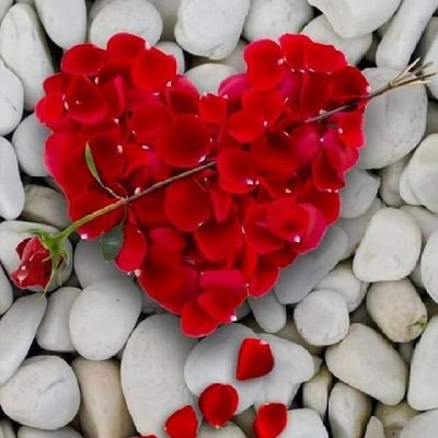 Profile Picture of Mohammed Fayyaz (@Mohamme38883475) on Twitter