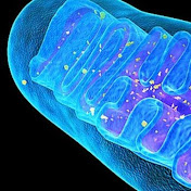 Jeffrey Carr - Youtube Profile Picture of Jeffrey Carr (@jeffreycarr5266) on Youtube