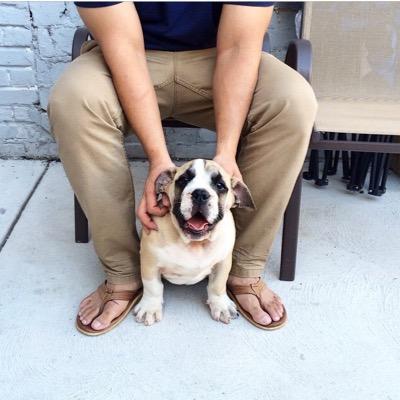 Profile Picture of Lou Boquila (@lboquila) on Twitter