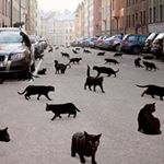 Profile Picture of 𝕴𝖒𝖔𝖌𝖊𝖓 𝕸𝖆𝖞 (@imogen__may) on Instagram