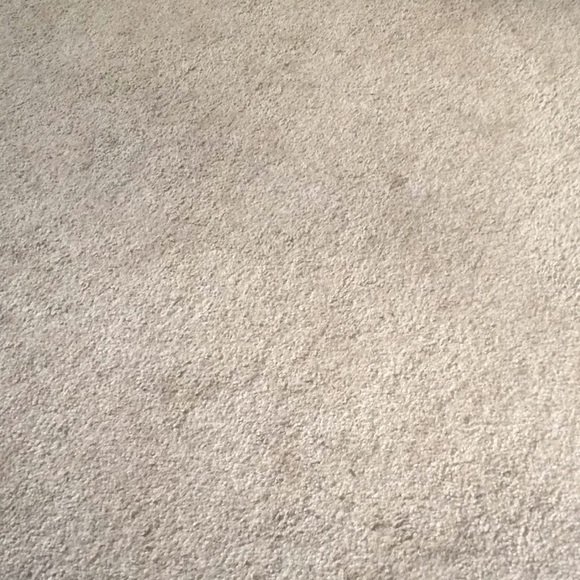 Profile Picture of Carly Ross (@carlyrossmeissl) on Poshmark