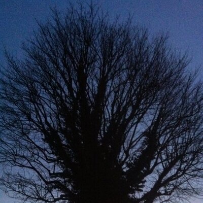 Profile Picture of Ben Glazier (@BenedictGlazier) on Twitter