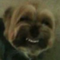 Profile Picture of Kyle Mendel (@kyle-mendel-1) on Quora