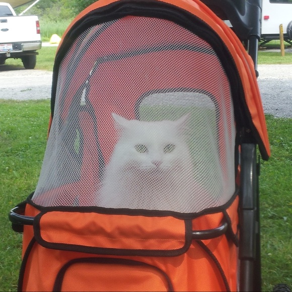 Profile Picture of Sibel Garvine (@fearless946) on Poshmark