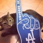 Profile Picture of Evelyn (@dodgercats) on Instagram