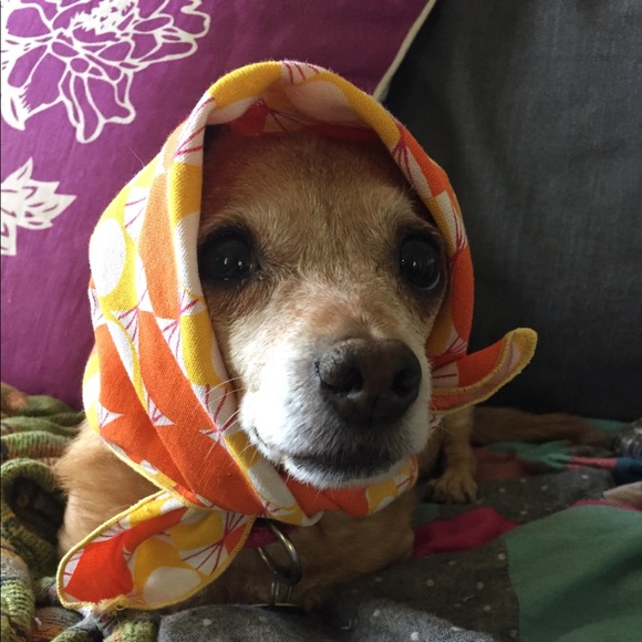 Profile Picture of Kim Andersen (@yarnyoldkim817) on Poshmark