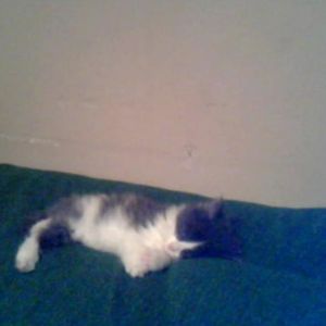 Profile Picture of Amber Lance (@hesfineandandy) on Myspace