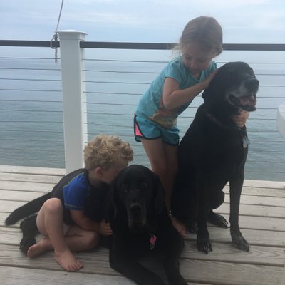 Profile Picture of Alex Todd (@CoachTodd008) on Twitter