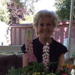 Profile Picture of Lori Hickey (@lori_hickey) on Instagram