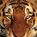 Profile Picture of Ste Ven (@steven.ciszewski.5) on Facebook